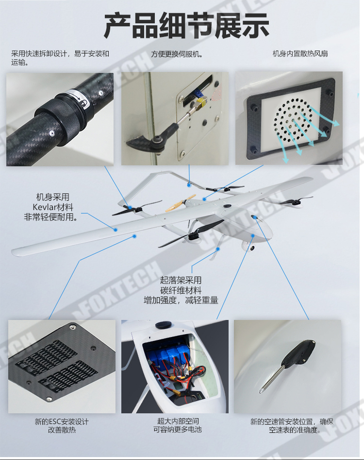 大白鯊_05.jpg